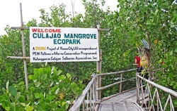 Culajao mangrove eco park